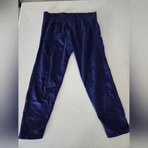 Fabletics Blue Mesh/Cutout Leggings in XL